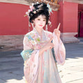 Pink Gradient Hanfu Dress | Floor-Length Tang Dynasty Cosplay | Embroidered Gown