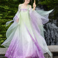 Embroidered Hanfu Dress | Big Sleeve Fairy Cosplay | Tang Dynasty Set