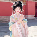 Pink Gradient Hanfu Dress | Floor-Length Tang Dynasty Cosplay | Embroidered Gown