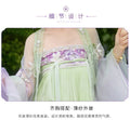 Embroidered Hanfu Dress | Big Sleeve Fairy Cosplay | Tang Dynasty Set