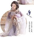 Tang Dynasty Hanfu Dress | Chest-Length Skirt | Floral Fairy Cosplay Set