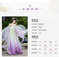 Embroidered Hanfu Dress | Big Sleeve Fairy Cosplay | Tang Dynasty Set