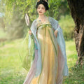 Summer Hanfu Dress | Tang Dynasty Embroidered Fairy Cosplay | Lightweight Set