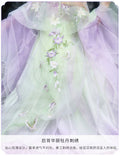 Embroidered Hanfu Dress | Big Sleeve Fairy Cosplay | Tang Dynasty Set