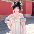 Pink Gradient Hanfu Dress | Floor-Length Tang Dynasty Cosplay | Embroidered Gown