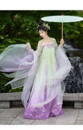 Embroidered Hanfu Dress | Big Sleeve Fairy Cosplay | Tang Dynasty Set