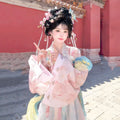 Pink Gradient Hanfu Dress | Floor-Length Tang Dynasty Cosplay | Embroidered Gown