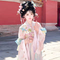 Pink Gradient Hanfu Dress | Floor-Length Tang Dynasty Cosplay | Embroidered Gown