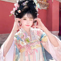 Pink Gradient Hanfu Dress | Floor-Length Tang Dynasty Cosplay | Embroidered Gown