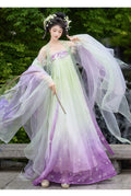 Embroidered Hanfu Dress | Big Sleeve Fairy Cosplay | Tang Dynasty Set