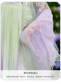 Embroidered Hanfu Dress | Big Sleeve Fairy Cosplay | Tang Dynasty Set