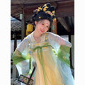 Summer Hanfu Dress | Tang Dynasty Embroidered Fairy Cosplay | Lightweight Set