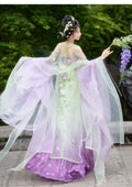 Embroidered Hanfu Dress | Big Sleeve Fairy Cosplay | Tang Dynasty Set