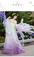 Embroidered Hanfu Dress | Big Sleeve Fairy Cosplay | Tang Dynasty Set