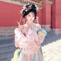 Pink Gradient Hanfu Dress | Floor-Length Tang Dynasty Cosplay | Embroidered Gown