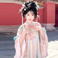 Pink Gradient Hanfu Dress | Floor-Length Tang Dynasty Cosplay | Embroidered Gown