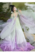 Embroidered Hanfu Dress | Big Sleeve Fairy Cosplay | Tang Dynasty Set