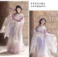 Tang Dynasty Hanfu Dress | Chest-Length Skirt | Floral Fairy Cosplay Set