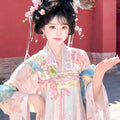 Pink Gradient Hanfu Dress | Floor-Length Tang Dynasty Cosplay | Embroidered Gown