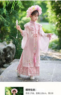 Girls Hanfu Dress | Horse Face Skirt & Cloud Shoulder | Chinese Princess Costume for Kids