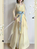 Chiffon Hanfu Dress | Floral Embroidery Fairy Cosplay | Long Elegant Ancient Set