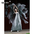 Olivegirl Original Hanfu Dress High-end Embroidered Fairy Spring Summer Women's Clothing Cosplay Traditional Chinese Clothing