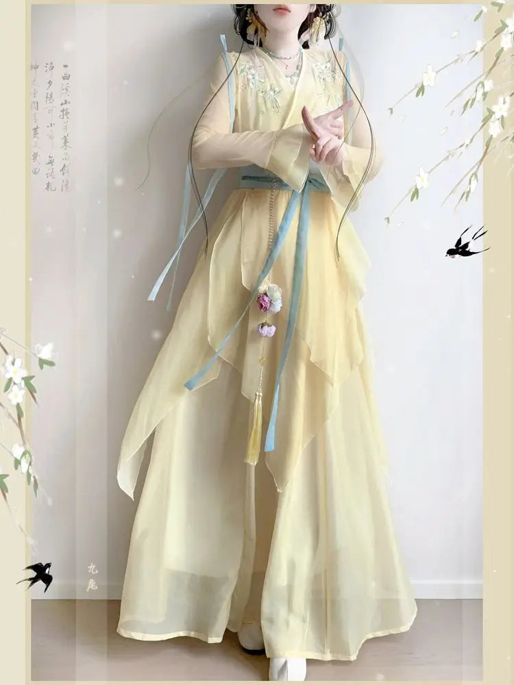 Chiffon Hanfu Dress | Floral Embroidery Fairy Cosplay | Long Elegant Ancient Set