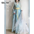 Chiffon Hanfu Dress | Floral Embroidery Fairy Cosplay | Long Elegant Ancient Set