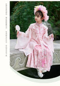 Girls Hanfu Dress | Horse Face Skirt & Cloud Shoulder | Chinese Princess Costume for Kids