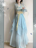 Chiffon Hanfu Dress | Floral Embroidery Fairy Cosplay | Long Elegant Ancient Set