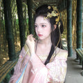 Yu Ji Hanfu Dress | High-End Intricate Embroidery | Ancient Chinese Fairy Cosplay Set