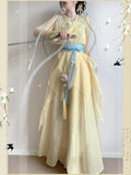 Chiffon Hanfu Dress | Floral Embroidery Fairy Cosplay | Long Elegant Ancient Set