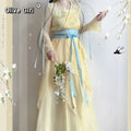 Chiffon Hanfu Dress | Floral Embroidery Fairy Cosplay | Long Elegant Ancient Set