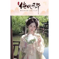 Hanfu Dress Original Tang Dynasty Floor-Length Embroiderd Daily Cheongsam Full Set Printed Chinese Embroidered Skirt