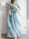 Chiffon Hanfu Dress | Floral Embroidery Fairy Cosplay | Long Elegant Ancient Set
