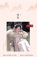 Hanfu Dress Original Tang Dynasty Floor-Length Embroiderd Daily Cheongsam Full Set Printed Chinese Embroidered Skirt