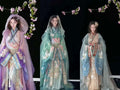 Warring States Hanfu Robe | Heavy Embroidery Cosplay Costume | Halloween & Carnival