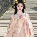 Yu Ji Hanfu Dress | High-End Intricate Embroidery | Ancient Chinese Fairy Cosplay Set