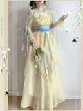 Chiffon Hanfu Dress | Floral Embroidery Fairy Cosplay | Long Elegant Ancient Set