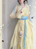 Chiffon Hanfu Dress | Floral Embroidery Fairy Cosplay | Long Elegant Ancient Set