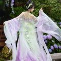 Embroidered Hanfu Dress | Big Sleeve Fairy Cosplay | Tang Dynasty Set