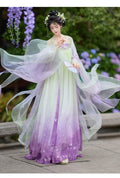 Embroidered Hanfu Dress | Big Sleeve Fairy Cosplay | Tang Dynasty Set
