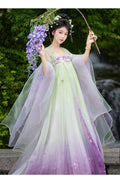 Embroidered Hanfu Dress | Big Sleeve Fairy Cosplay | Tang Dynasty Set
