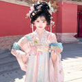 Pink Gradient Hanfu Dress | Floor-Length Tang Dynasty Cosplay | Embroidered Gown